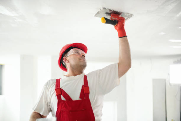 Best Drywall Crack Repair  in Lansing, IL