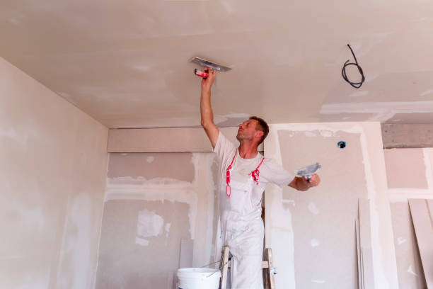 Best Drywall Removal and Disposal  in Lansing, IL